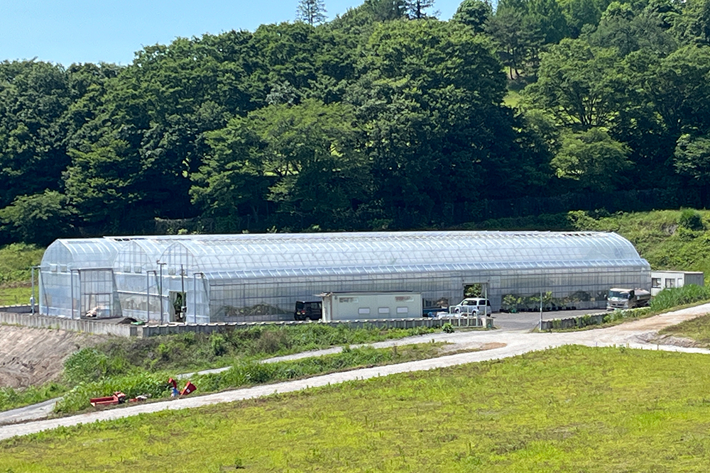 ビニールハウス