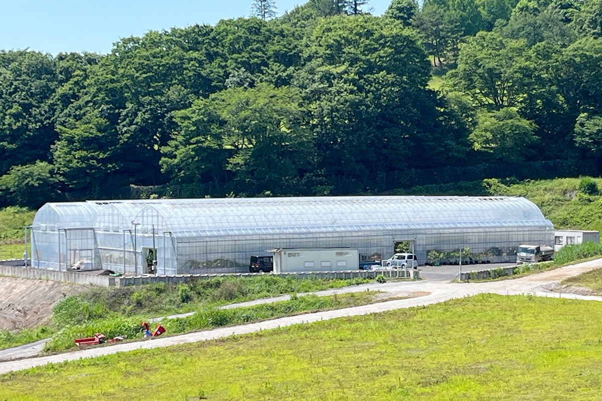 鳳凰ファーム（鳳凰ゴルフ倶楽部） 外観